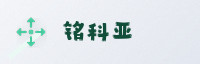 合作伙伴
